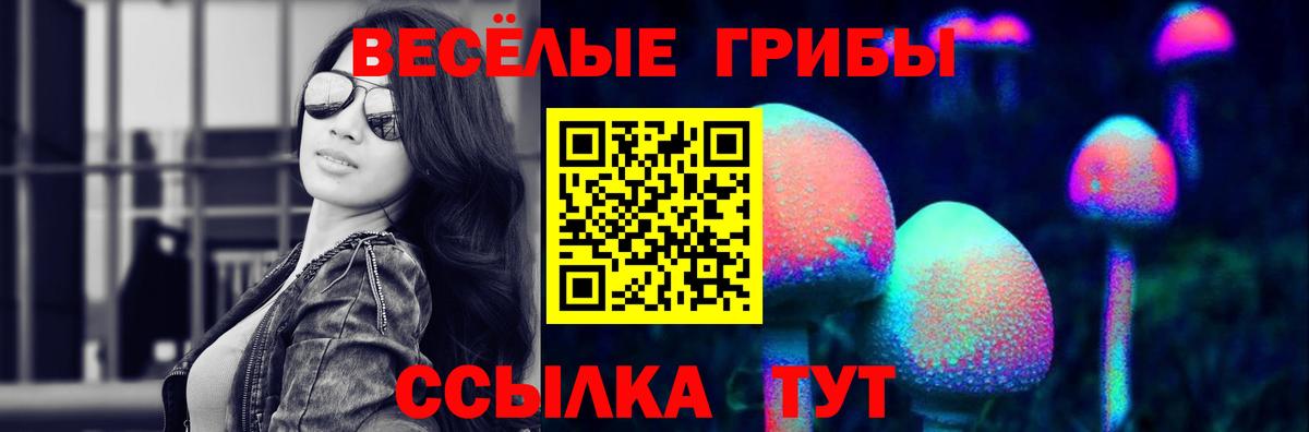 Галлюциногенные грибы Psilocybine cubensis  даркнет сайт  Азнакаево  Вход с VPN 